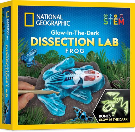 Amazon.com: NATIONAL GEOGRAPHIC Frog Dissection Kit Anatomy Lab - Glow ...