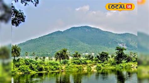Susunia Pahar: শুশুনিয়া পাহাড়ে ছুটে এলেন একদল চিত্রশিল্পী! ক্যানভাসে ...