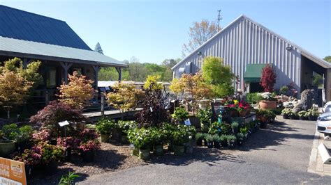 Willow Ridge Garden Center, Landscaping & Ponds | Knoxville | Oak Ridge