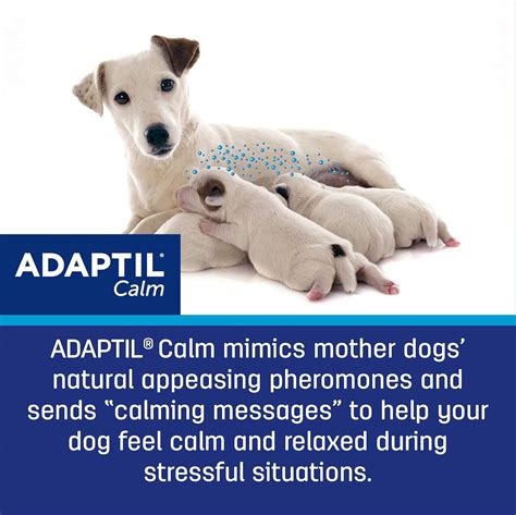 ADAPTIL Dog Calming Pheromone Diffuser, 30 Day India | Ubuy