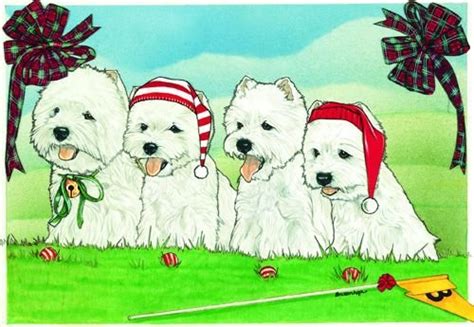 Pipsqueak Productions C938 Westie Holiday Boxed Cards : Amazon.in ...