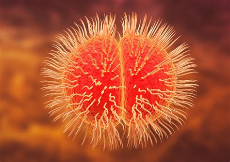 Survey Finds Lack of Parental Awareness of Meningitis Risk in Children