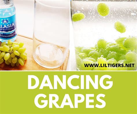 Water Science Experiments 的图像结果