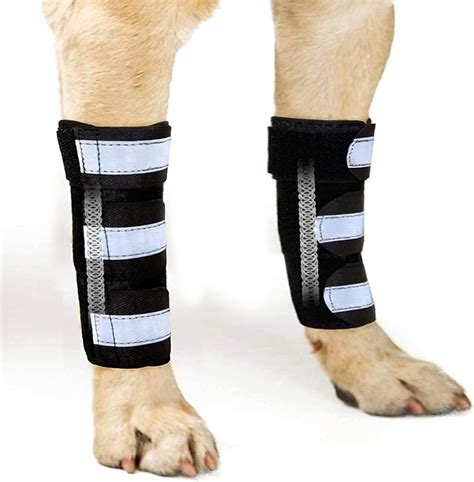 NeoAlly Pair Dog Front Leg Braces Super Supportive with Metal Spring ...