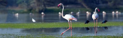 Home [www.bluehourstudios.in]