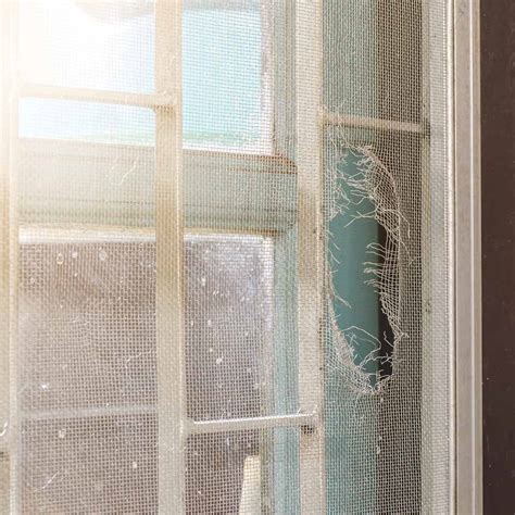 Image result for Window Screen Repair Service