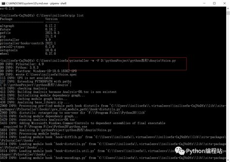 exe Aus Python Script 的图像结果