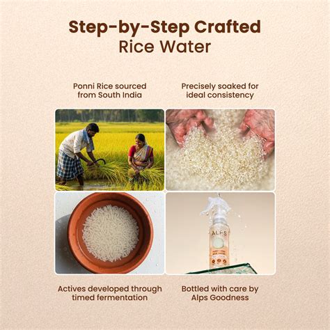 Alps Goodness Fermented Rice Water | Alps Goodness