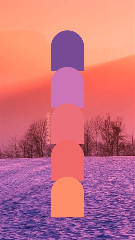 25 best sunset color palettes with names and hex codes – Artofit