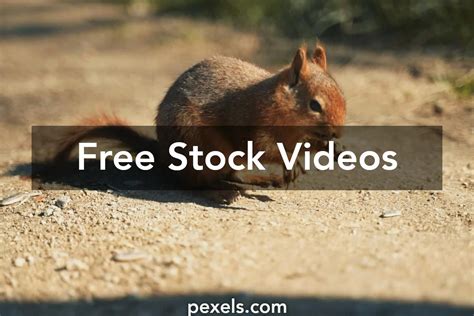 Image result for Video Full HD Local