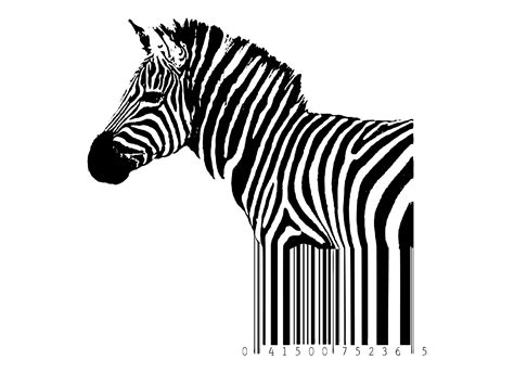 Image result for Zebra Code Programing