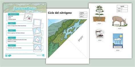 Triorama: Ciclo del nitrógeno - Twinkl Colombia