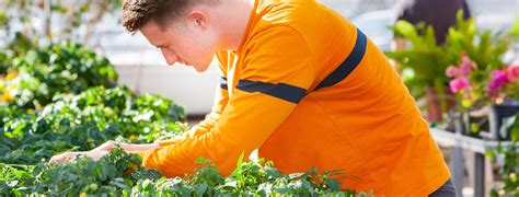 CropScience 的图像结果