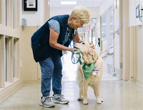 Culture |Beebe Healthcare Careers