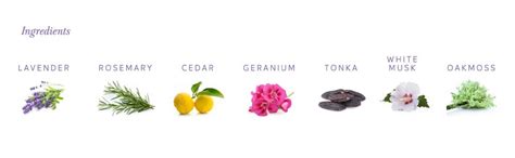 Buy Yardley London English Lavender Anti Perspirant Deodorant Roll On ...