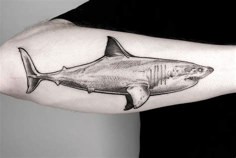 Traditional Tiger Shark Tattoos