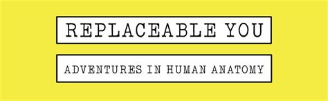 Replaceable You: Adventures in Human Anatomy eBook : Roach, Mary ...