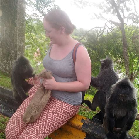 MALAYSIAN EXPLORATIONS & ADVENTURES - All You Need to Know BEFORE You ...