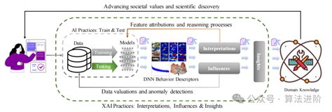 Ai 人工智能 可解释性 的图像结果
