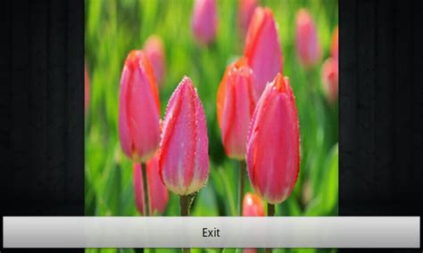 Slideshow Maker Android 的图像结果