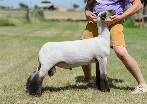 White Boy Rick - Reproduction Specialty Group