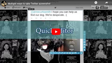 Image result for Twitter ScreenShot