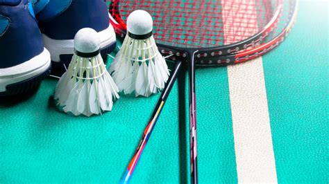 Badminton Bat 的图像结果