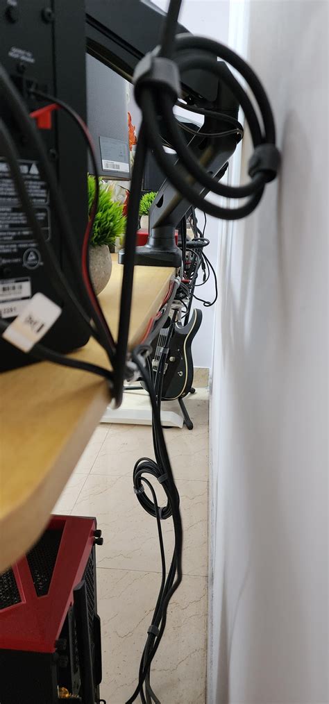 Coding Setup 的图像结果