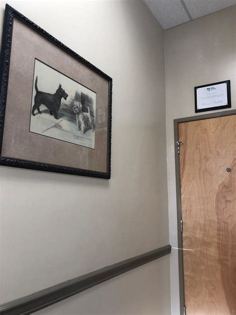 MEDVET SILICON VALLEY - San Jose CA - Hours, Directions, Reviews - Loc8NearMe