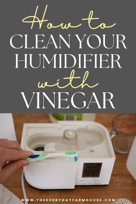 Image result for How to Clean Humidifier