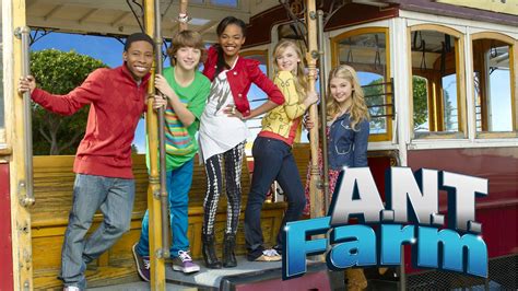 Fletcher Ant Farm