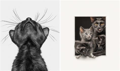 Image result for Perspektivteikning Perspective Drawing Examples