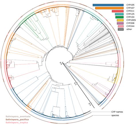 An Unprecedented Number of Cytochrome P450s Are Involved in Secondary ...