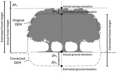 New Method to Correct Vegetation Bias in a Copernicus Digital Elevation ...