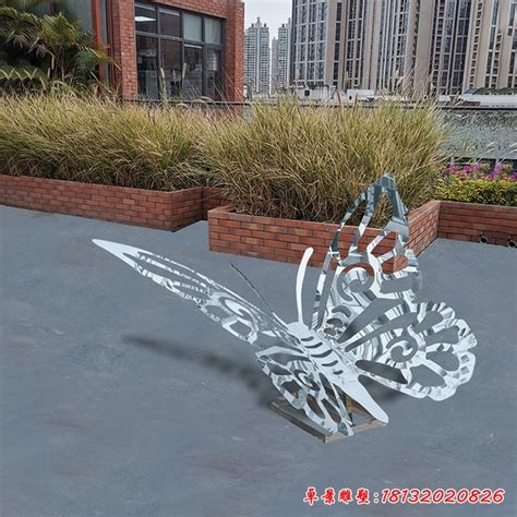 公园蝴蝶不锈钢雕塑 - 卓景雕塑公司