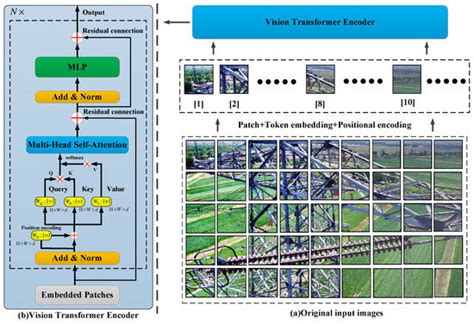 Double-Attention YOLO: Vision Transformer Model Based on Image ...