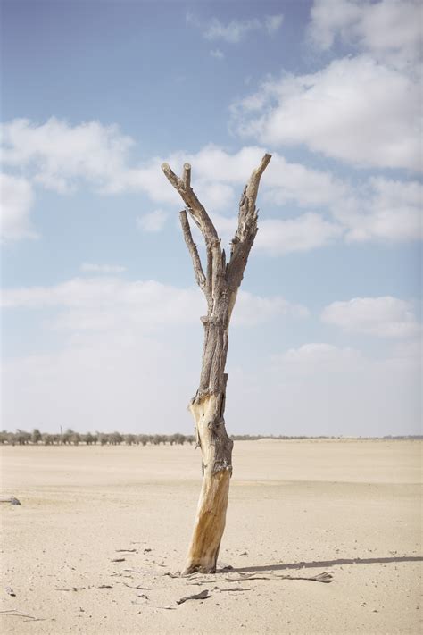 MENA photographers reflect on the reality of ecological ruin