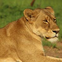 All Events in Kampala, Today and Upcoming Events in Kampala