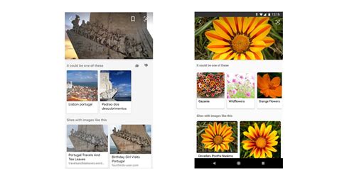 Visual Search in Bing 的图像结果