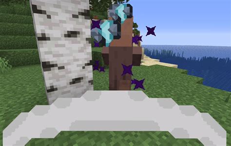 How to Hide Particles in Minecraft 的图像结果