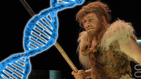 The Genetic Legacy of Ancient Humans - The Average Scientist