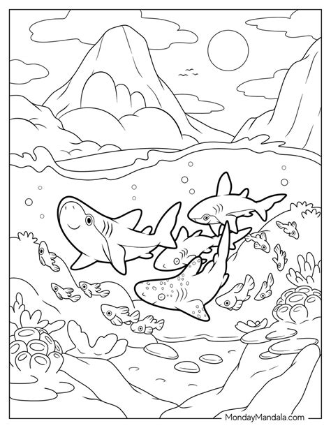 34 Shark Coloring Pages (Free PDF Printables)