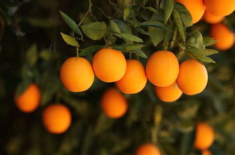 Education Abroad Alumni | UCR Education Abroad