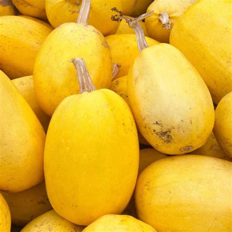 Organic Indeed Produce 的图像结果