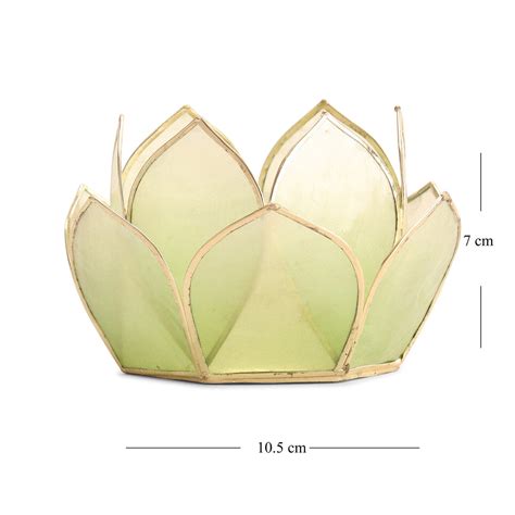 Shop Green Ombre 12 Shells Capiz Tealight Holder - at Best Price Online ...