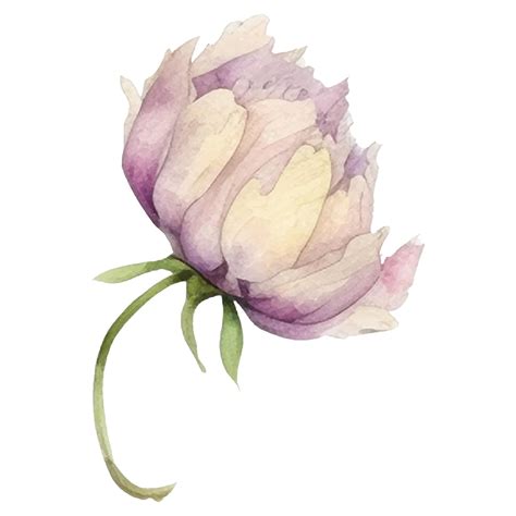 Vector watercolor painted flower hand drawn flower design elements ...