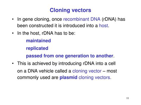 Cloning Vector Examples 的图像结果