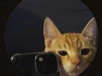 Image result for Java PFP Simple