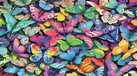 Image result for Butterfly Collage