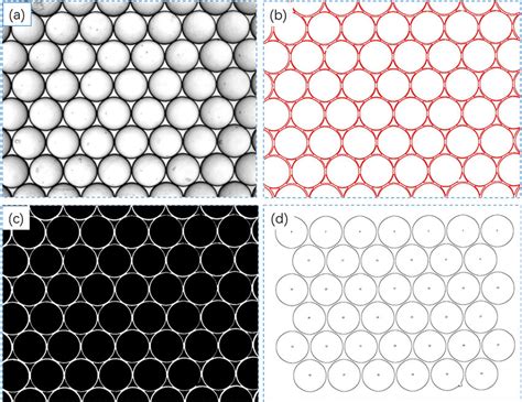 Image result for Image Processing Using ImageJ